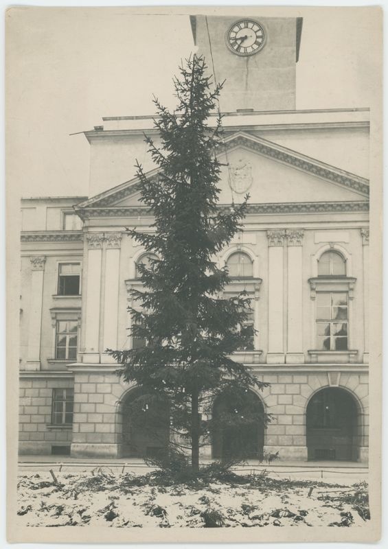 Choinka przed kaliskim ratuszem