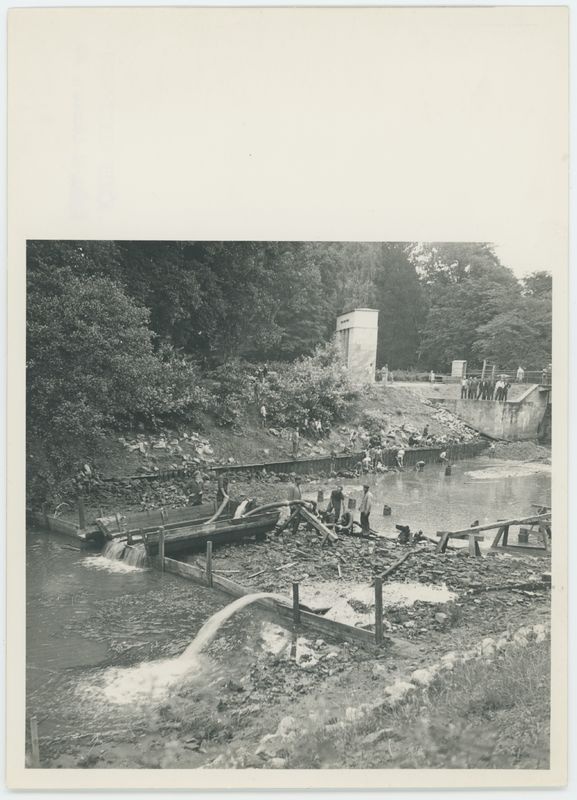 Regulacja Prosny w parku miejskim w Kaliszu