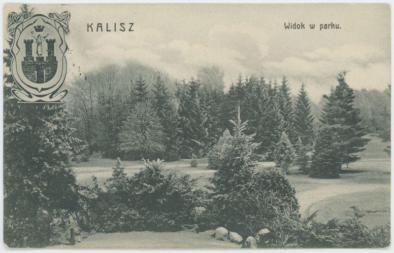 Widok w parku, Kalisz
