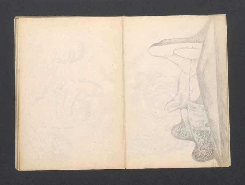 Krajobrazy spalone, Stalowe ptaki. część IV