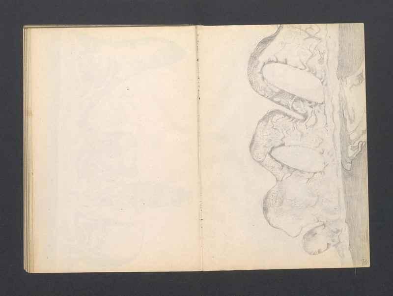 Krajobrazy spalone, Stalowe ptaki. część IV