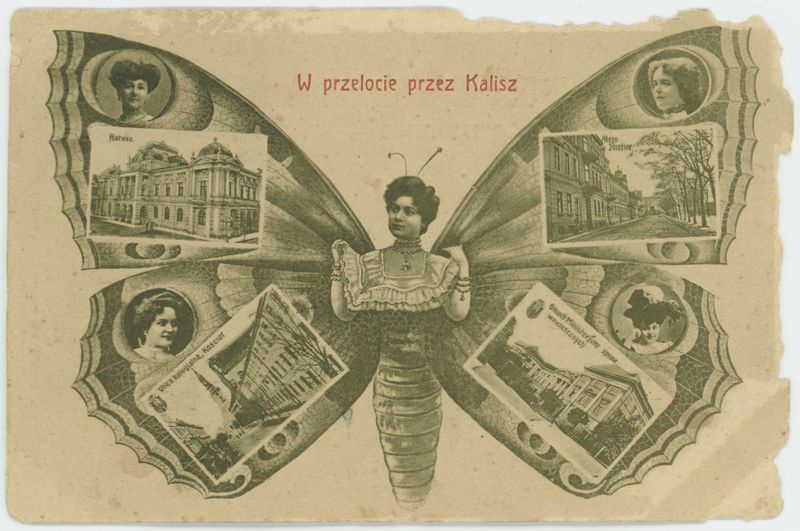 W przelocie przez Kalisz