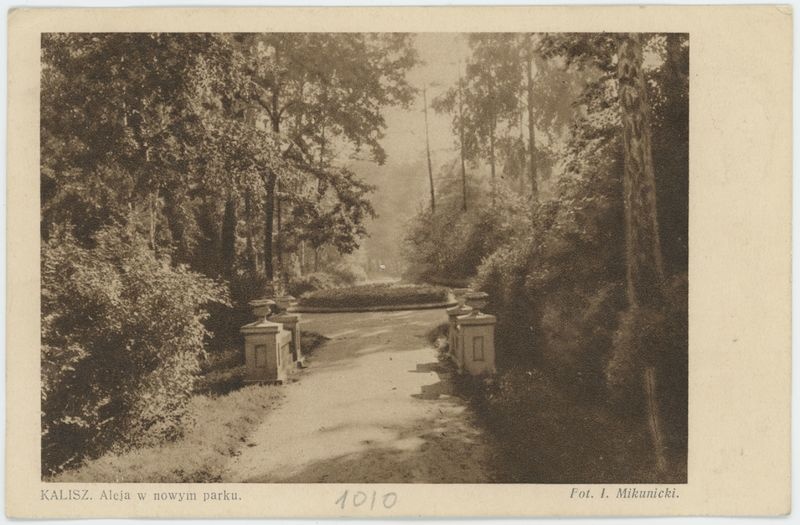 Aleja w nowym parku, Kalisz