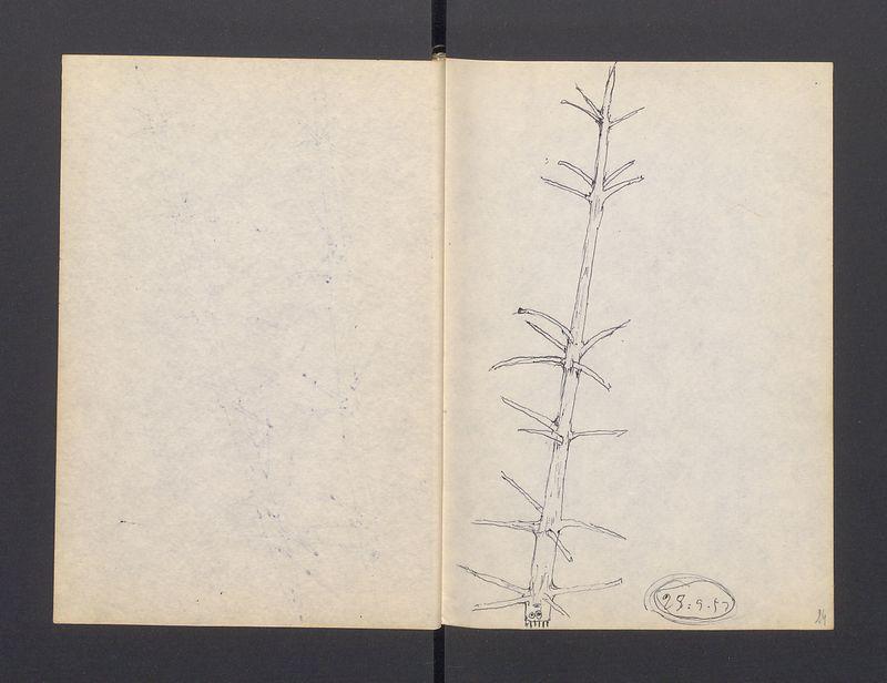 Szlembark, część II