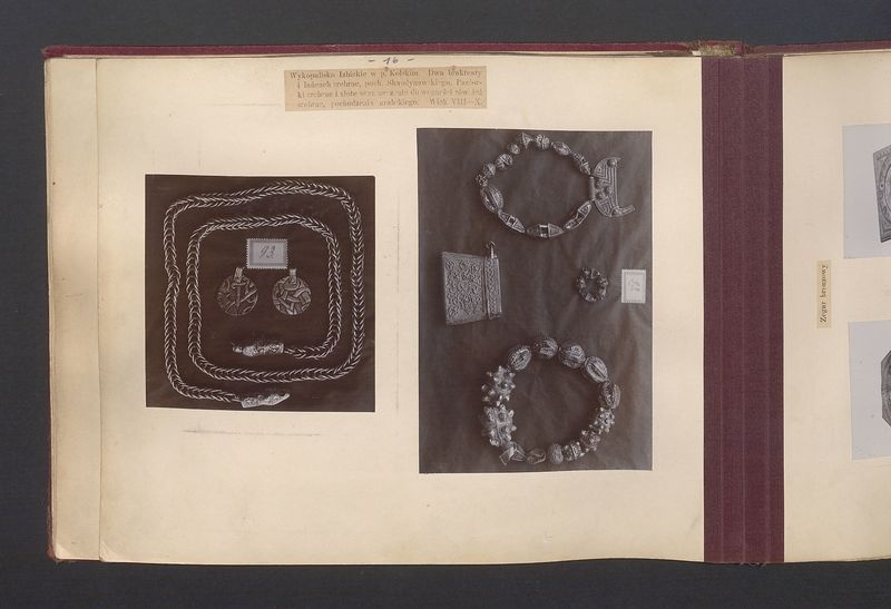 Album Wystawy Archeologicznej i zabytków sztuki urządzonej w Kaliszu w sali Ratuszowej w maju i czerwcu 1900 roku.