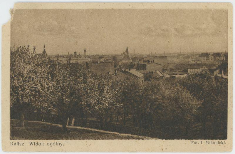 Widok ogólny, Kalisz