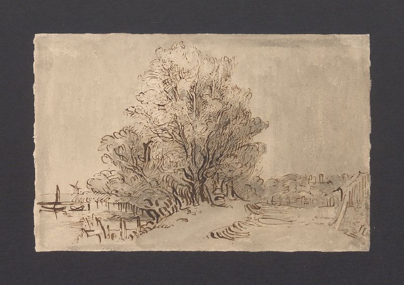 Grupa drzew nad wodą