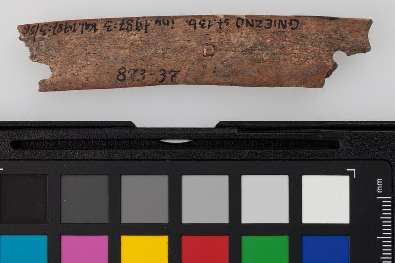 Okładzina kościana