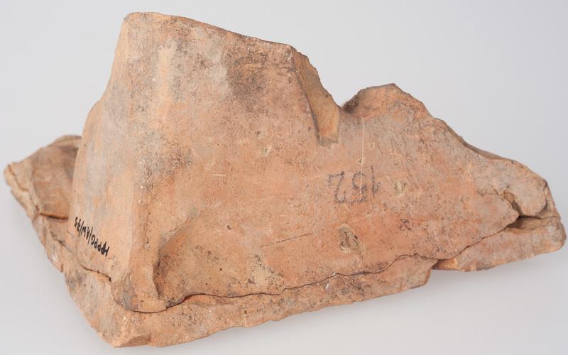 Kafel z herbem ziemi brzesko-kujawskiej