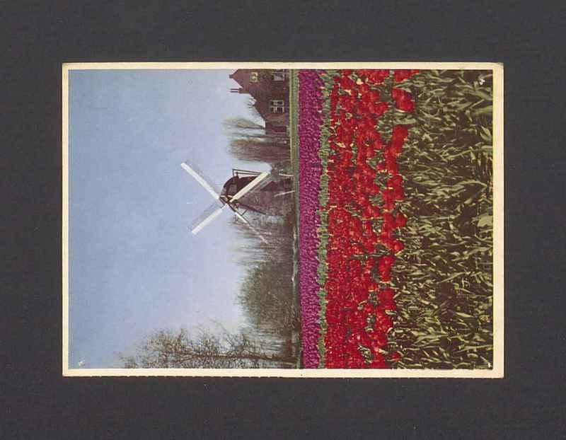 Barbarko Kochana [...]