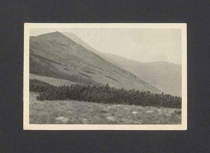 Wielmożna Pani [...]