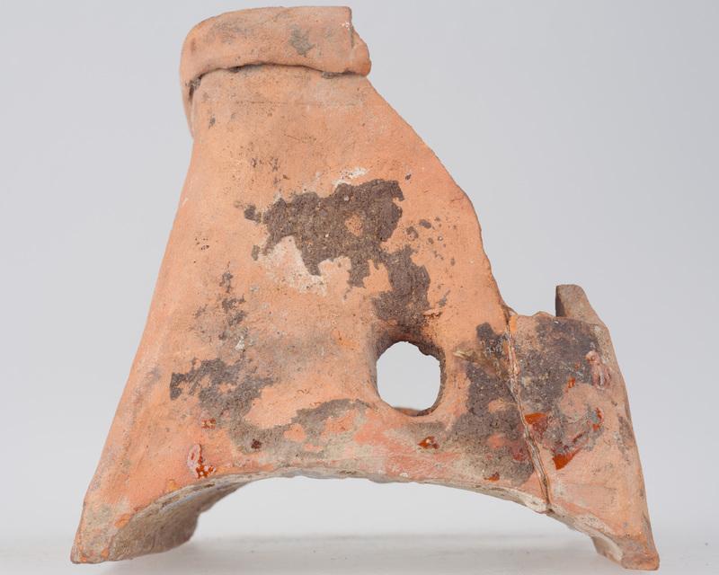 Kafel z ornamentem roślinnym