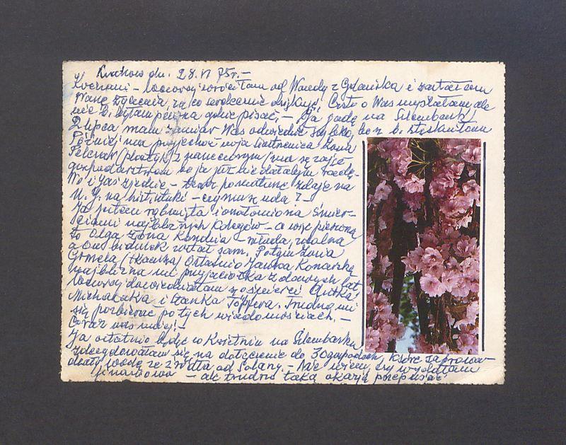 Kochani - wczoraj wróciłam od Wandy z Gdańska [...]