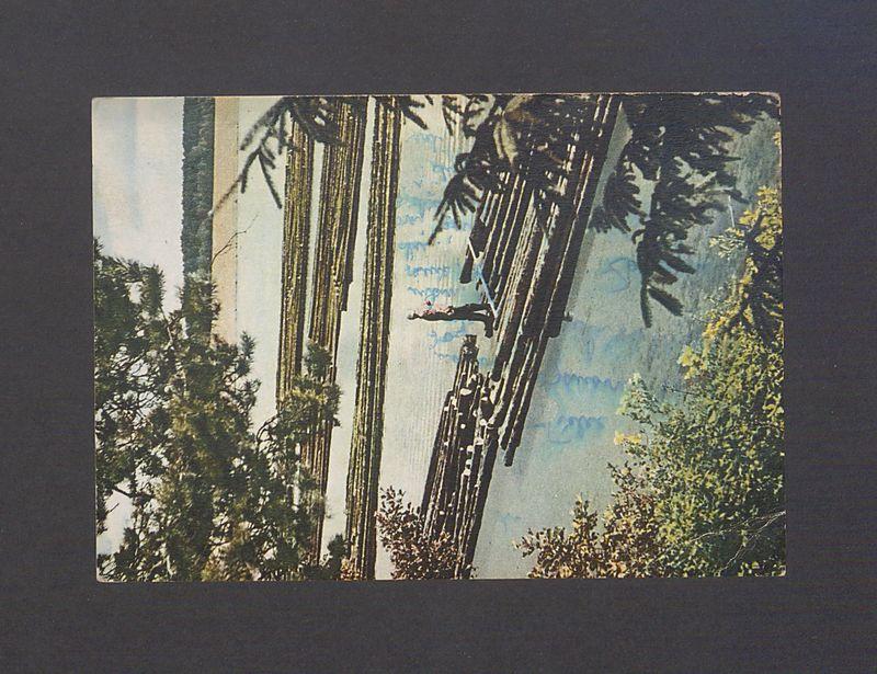 Kochani! Wczasujemy się jak zwykle w Augustowie [...]