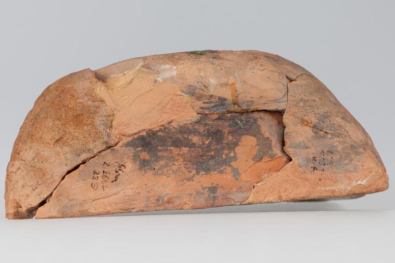 Kafel z tarczownikiem