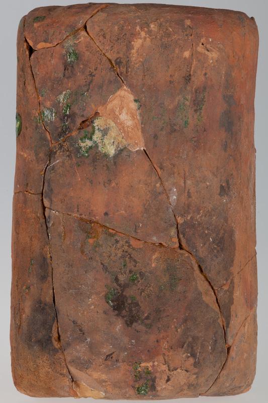 Kafel z tarczownikiem