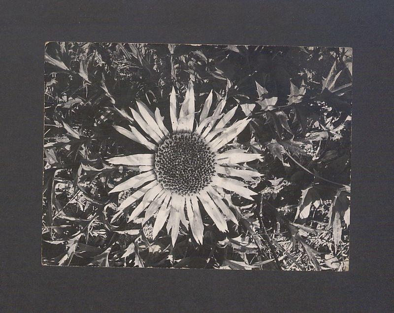 Kochane Kulisy! Cała nasza trójka [...]