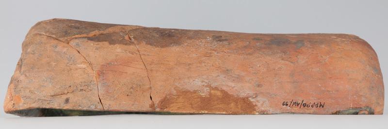 Kafel z tarczownikiem