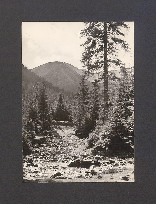 Kochani, Jesteśmy w schronisku na P. Chochołowskiej [...]