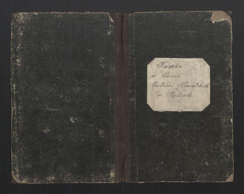 Kziąszka w Pisowa Czeladzi Kowalskich w Kaliszu