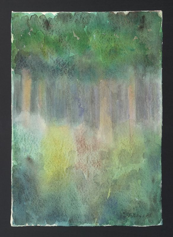 Wrocław, Park Szczytnicki