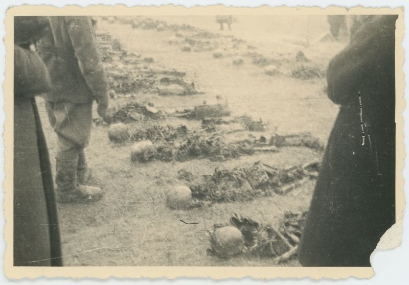 Ekshumacje zwłok pomordowanych pod Kaliszem w czasie II Wojny Światowej