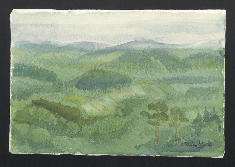 Wojciechów pejzaż II