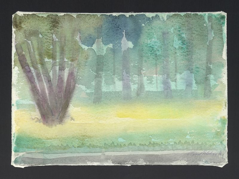 Wrocław, Park Szczytnicki II