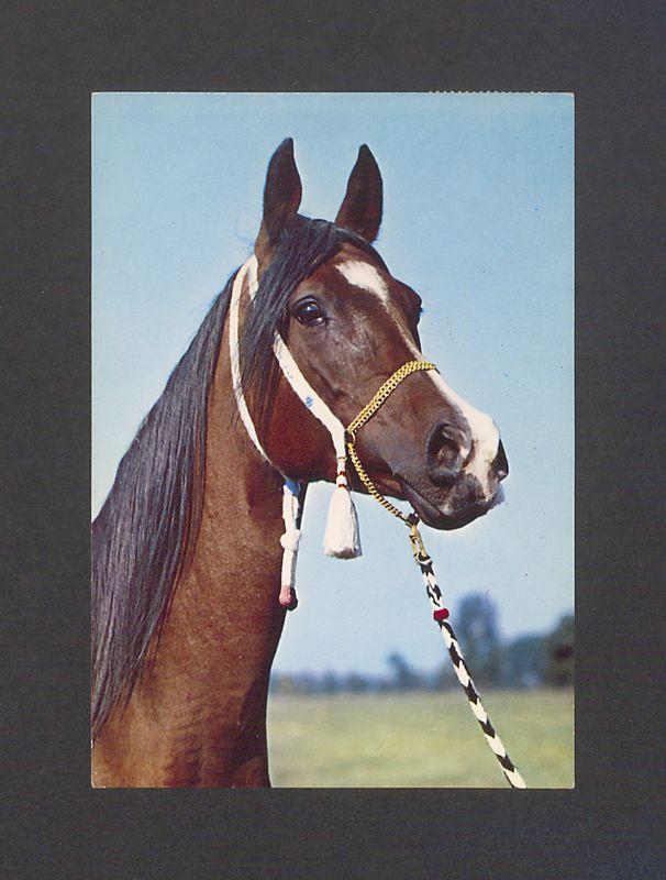 Kochani Basia i Tadeusz! Mimo absolutnej niepamięci [...]