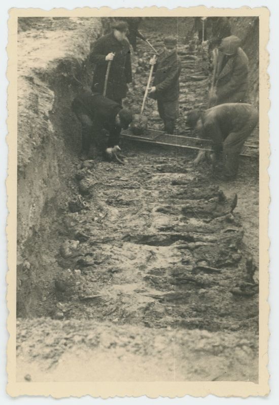 Ekshumacje zwłok pomordowanych pod Kaliszem w czasie II Wojny Światowej