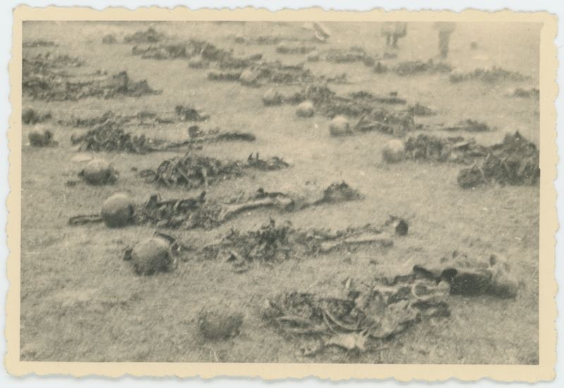 Ekshumacje zwłok pomordowanych pod Kaliszem w czasie II Wojny Światowej