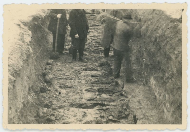 Ekshumacje zwłok pomordowanych pod Kaliszem w czasie II Wojny Światowej