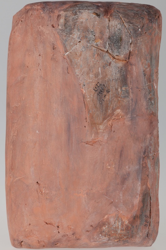 Kafel z tarczownikiem