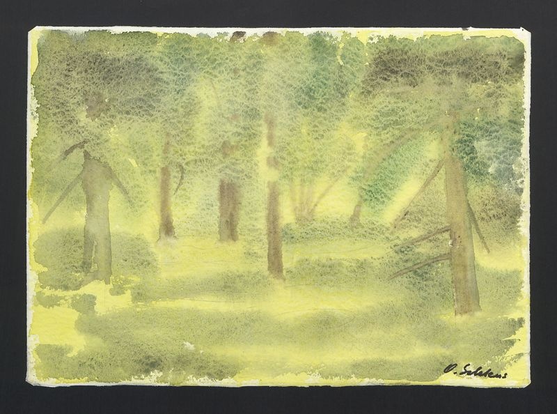 Wrocław, Park Szczytnicki VI