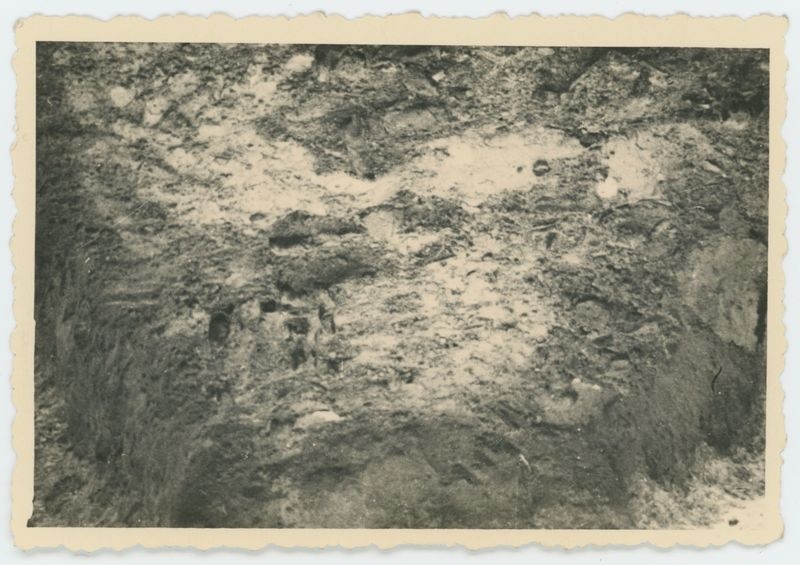 Ekshumacje zwłok pomordowanych pod Kaliszem w czasie II Wojny Światowej