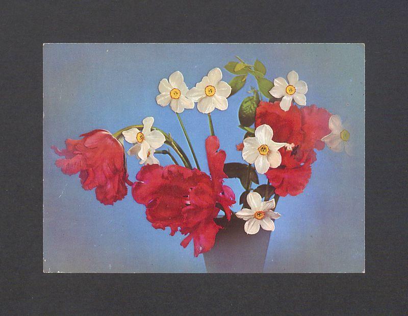 Droga Basiu - przesyłam Ci najlepsze życzenia [...]