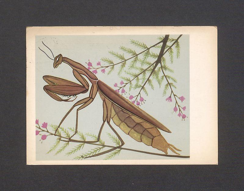 Kochani! Bardzo dziękujemy za gościnę [...]