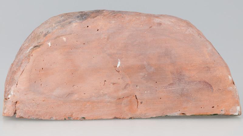 Kafel z tarczownikiem