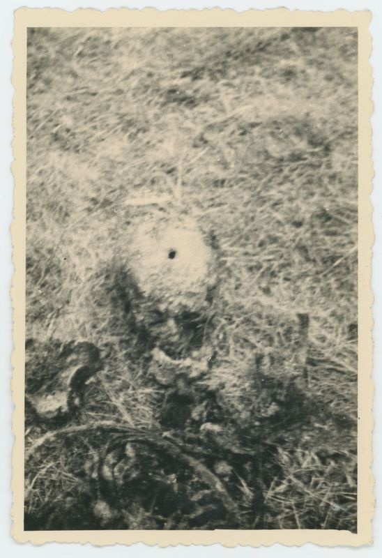 Ekshumacje zwłok pomordowanych pod Kaliszem w czasie II Wojny Światowej