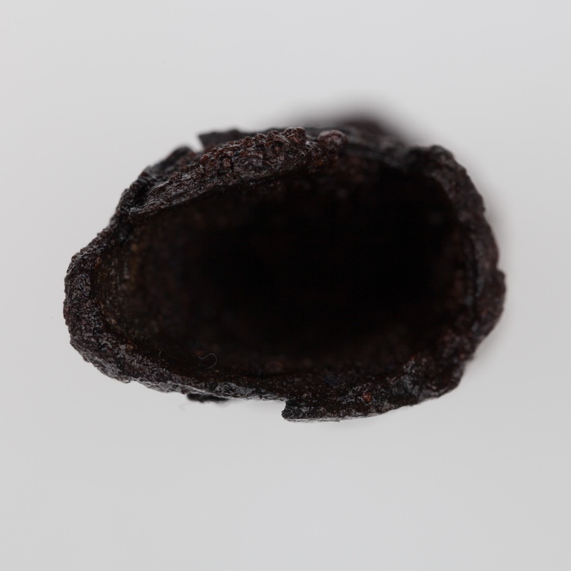 fragmenty okucia pochwy miecza  