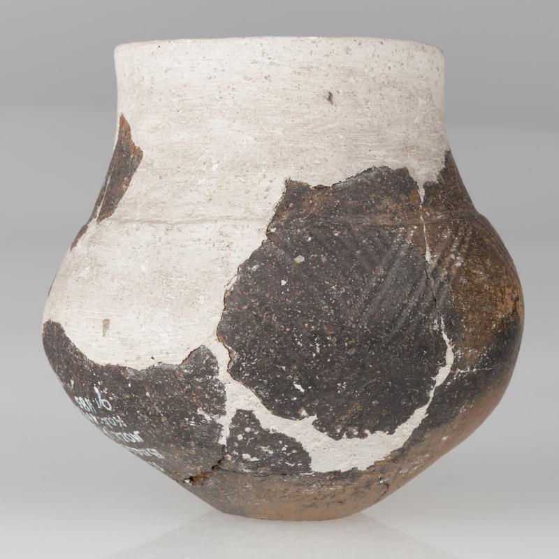 naczynie beczułkowate 