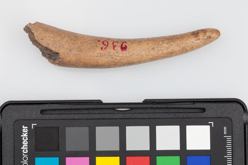 Półfabrykat z poroża