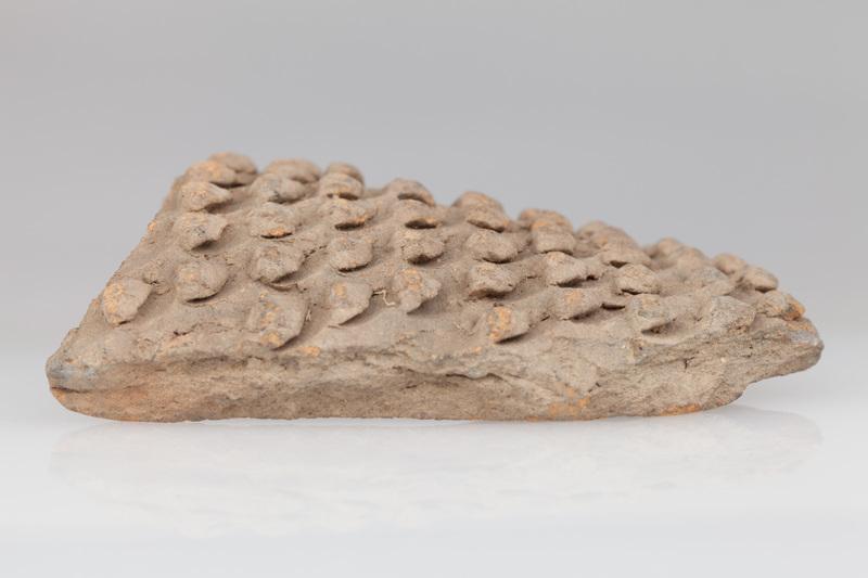 fragment naczynia jeżowatego 