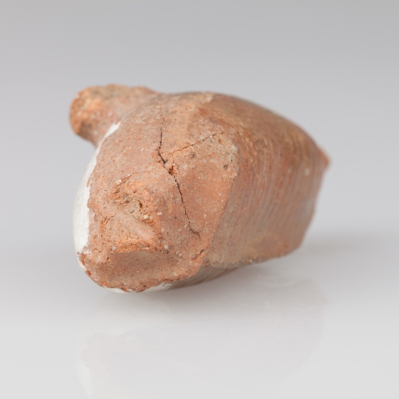 Grzechotka ornitomorficzna zdobiona ornamentem rytym.