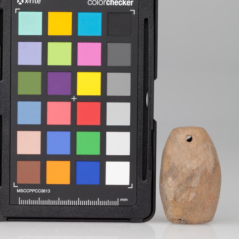 Grzechotka o kształcie beczułkowatym