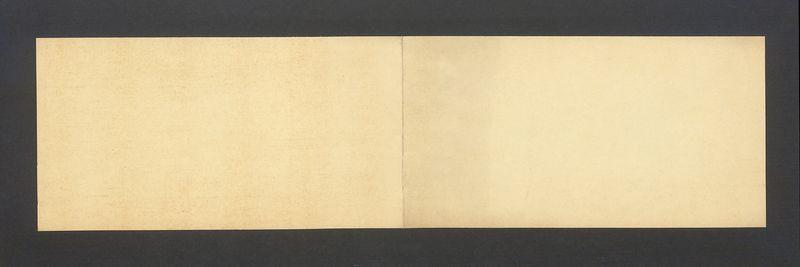 12 malarzy naiwnych z Brazylii