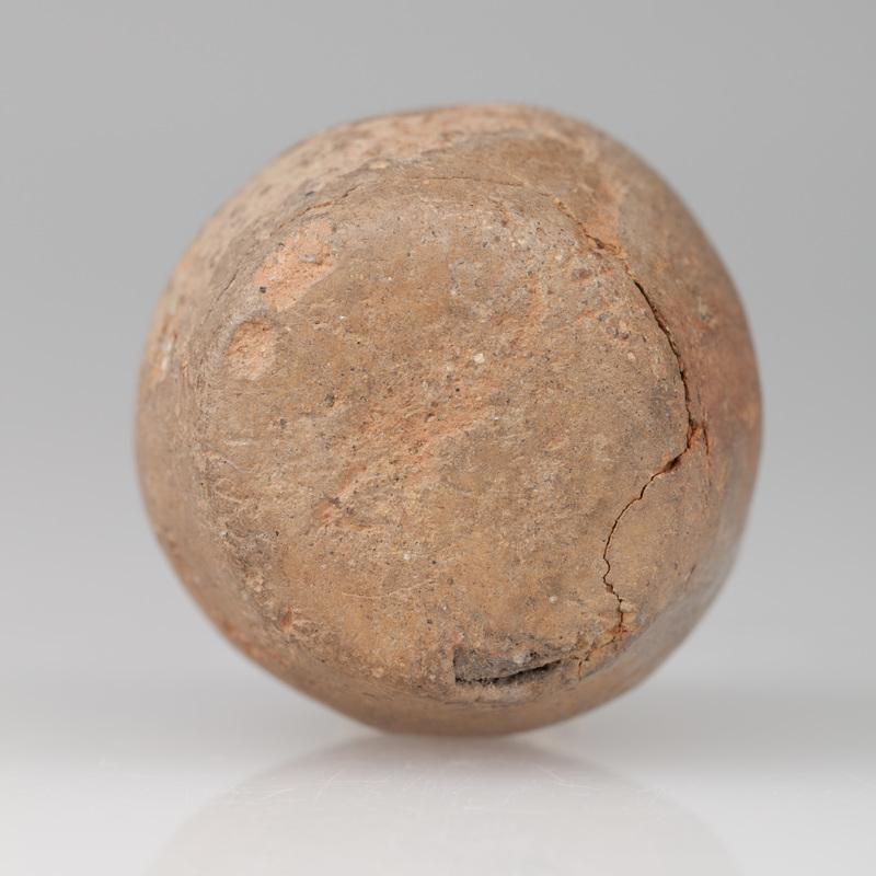 Grzechotka o kształcie beczułkowatym