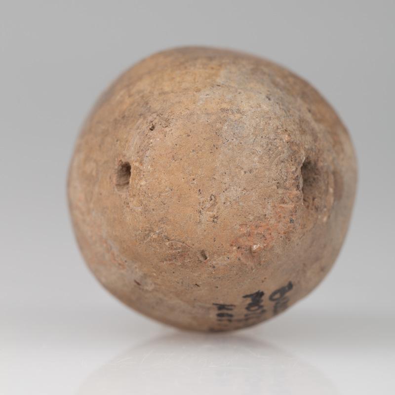 Grzechotka o kształcie beczułkowatym