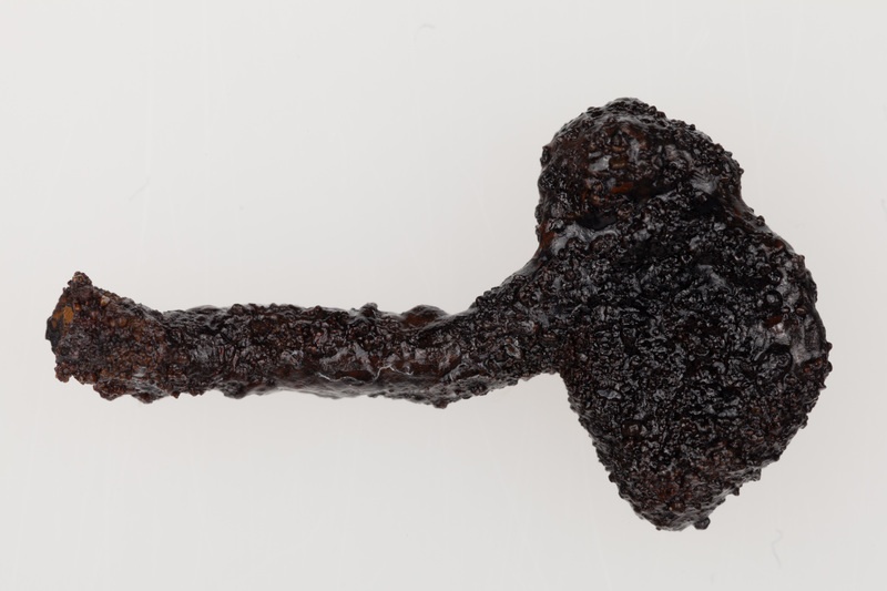 Fragment żelaznej szpili pastorałowatej