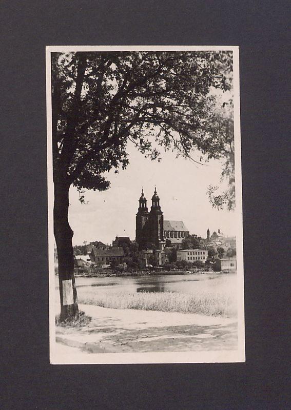 Widok na katedrę od ul. Poznańskiej.